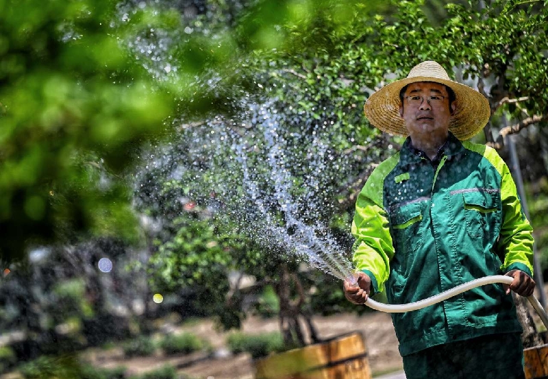 2023090416331693816407779079928.jpg 1_副本.jpg