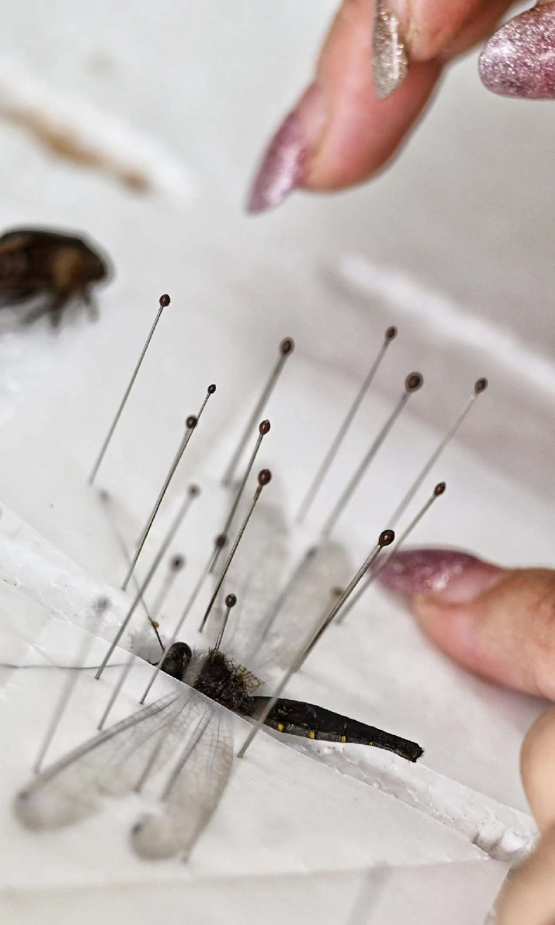 2023090416451693817149018010493.jpg 2_副本.jpg